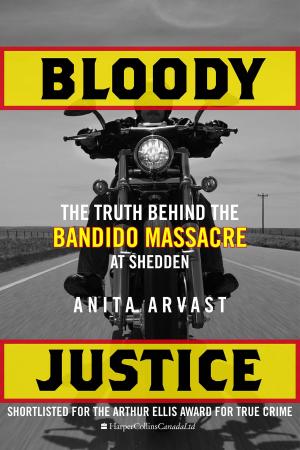 Cover of the book Bloody Justice by Robert Low