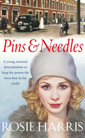 Cover of the book Pins And Needles by George Skipworth