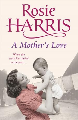 Cover of the book A Mother's Love by Priscilla Terry