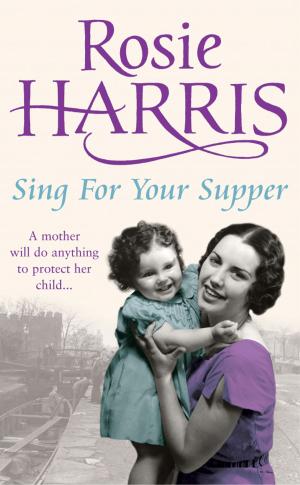Cover of the book Sing for Your Supper by Donna Douglas