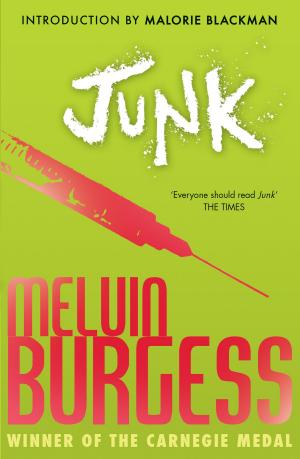 Cover of the book Junk by Chris Judge