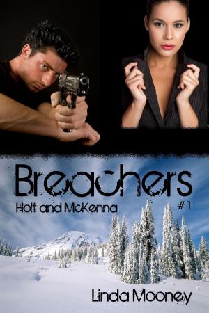 Book cover of Breachers: Holt & McKenna