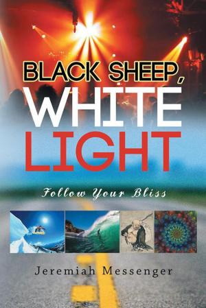 Cover of the book Black Sheep White Light by Dada Krupa Karuna
