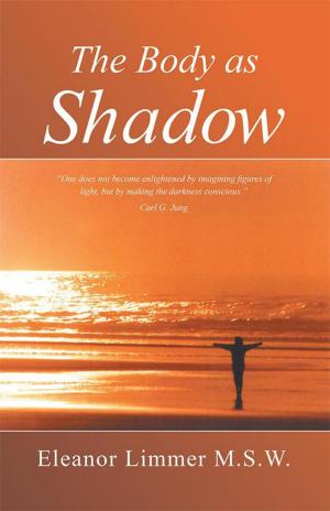 Cover of the book The Body as Shadow by Monika Mahr