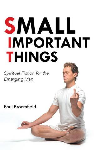 Cover of the book Small Important Things by Marg Revill