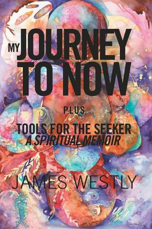 Cover of the book My Journey to Now, Plus Tools for the Seeker by Sandrine Etienne