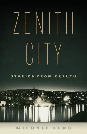 Cover of the book Zenith City by T’ai Smith