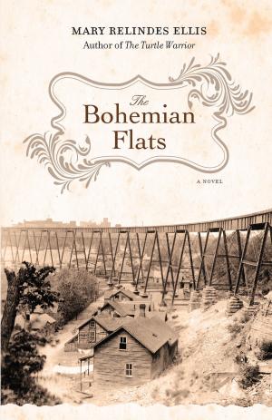 bigCover of the book The Bohemian Flats by 