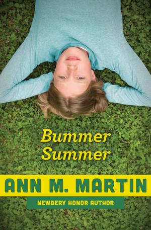 Cover of the book Bummer Summer by Christina Shriver