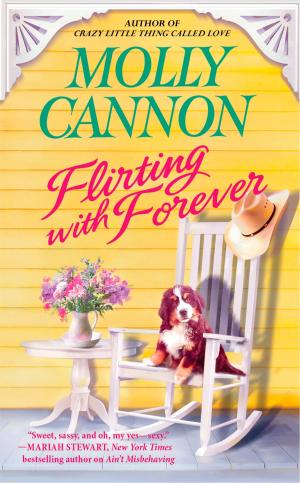 Cover of the book Flirting with Forever by Robert Mckee
