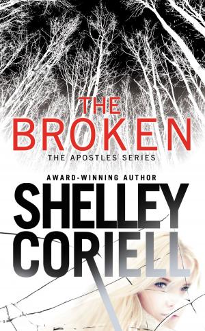 Cover of the book The Broken by Amy Engel
