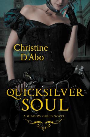 Cover of the book Quicksilver Soul by Troy Conway
