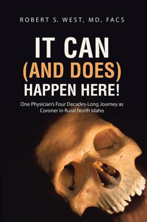Cover of the book It Can (And Does) Happen Here! by Evelda Mourn