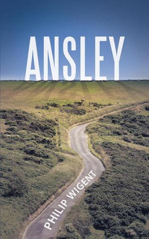 Cover of the book Ansley by J. Michael Franklin, Cameron Falejczyk