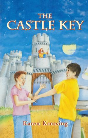 Cover of the book The Castle Key by DC McGannon, C. Michael McGannon