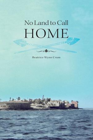 Cover of the book No Land to Call Home by Roger Boyd, B.Sc, M.B.A., M.A.