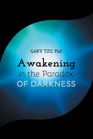 Cover of the book Awakening in the Paradox of Darkness by Ross A. MacInnes
