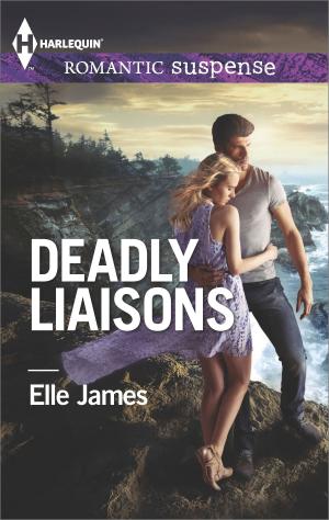 Cover of the book Deadly Liaisons by Barbara J. Hancock
