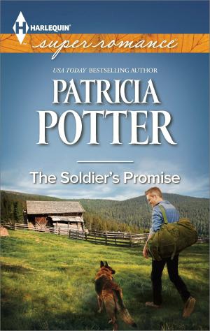bigCover of the book The Soldier's Promise by 