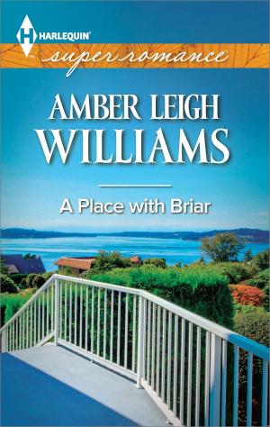 Cover of the book A Place with Briar by Penny Jordan