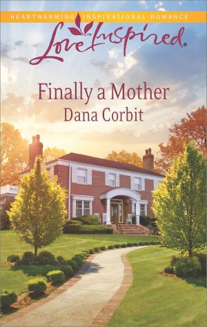 Cover of the book Finally a Mother by Pamela Tracy