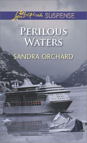 Cover of the book Perilous Waters by Brenda Jackson