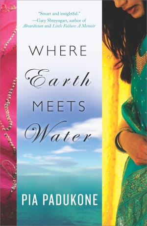 Cover of the book Where Earth Meets Water by Ray Sostre