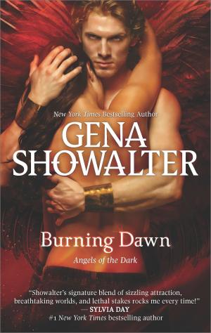 Cover of the book Burning Dawn by Jodi Thomas