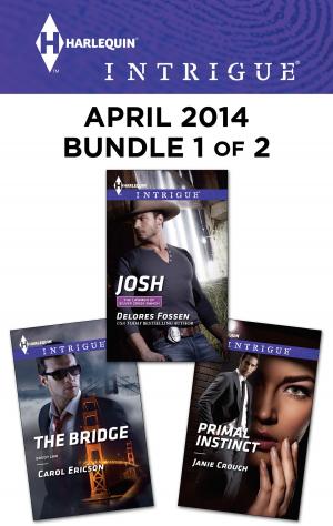 Cover of the book Harlequin Intrigue April 2014 - Bundle 1 of 2 by Ruth Langan