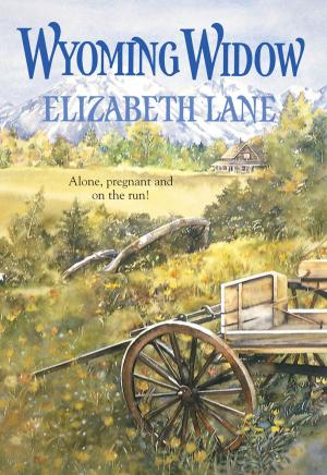 Cover of the book Wyoming Widow by Elizabeth Ann West