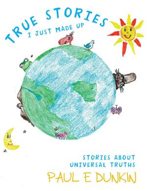 Cover of the book True Stories I Just Made Up by Shirley M. Odle