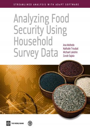 Cover of the book Analyzing Food Security Using Household Survey Data by Martín Molinuevo, Sebastián Sáez