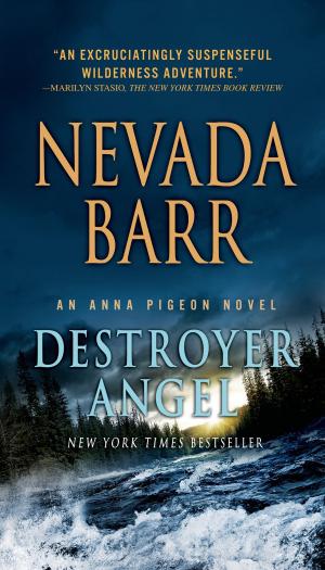 Cover of the book Destroyer Angel by Manda Collins