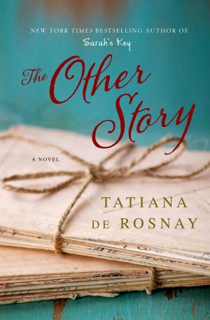 Cover of the book The Other Story by Jocelyn Brubaker