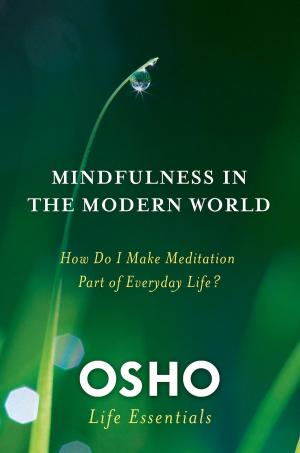 Book cover of Mindfulness in the Modern World