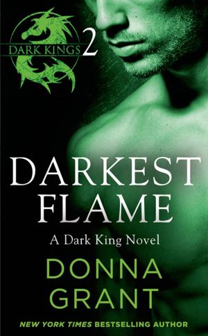 Cover of the book Darkest Flame: Part 2 by Jaye A. Jones