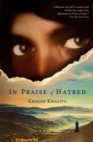 Cover of the book In Praise of Hatred by Julie A. Ross, M.A., Judy Corcoran