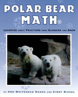 Cover of the book Polar Bear Math by Jacqueline Kelly