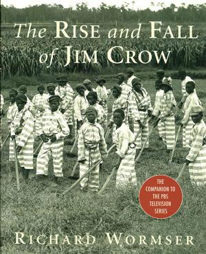 Cover of the book The Rise and Fall of Jim Crow by Sarah Stewart Taylor