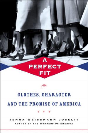 Cover of the book A Perfect Fit by Todd S. Purdum