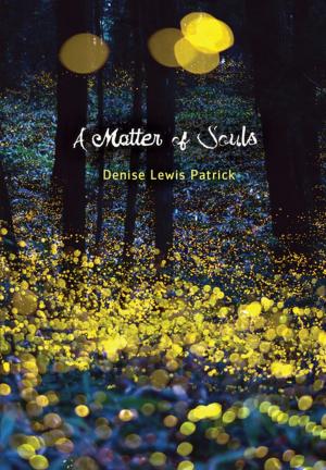 Cover of the book A Matter of Souls by D. M. Paige