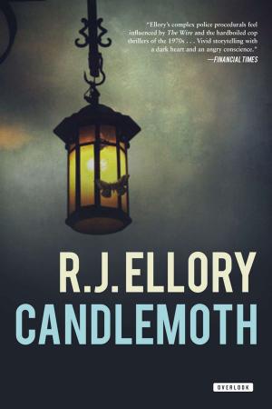 Cover of the book Candlemoth by Alexis Swanson Traina