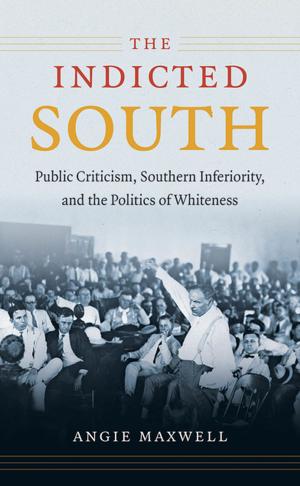 Cover of the book The Indicted South by Jamie DeMent