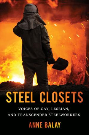 Cover of the book Steel Closets by John Alexander Williams