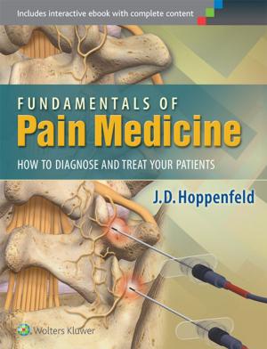 Cover of the book Fundamentals of Pain Medicine by Patrick C. Auth