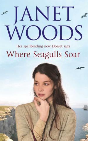 Cover of the book Where Seagulls Soar by Peter H. Diamandis, Steven Kotler