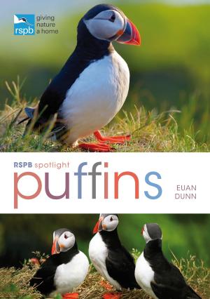 Cover of the book RSPB Spotlight: Puffins by Jim Eldridge