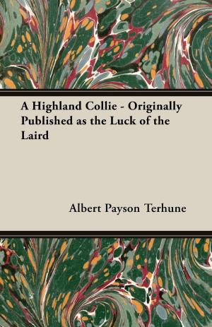Book cover of A Highland Collie - Originally Published as the Luck of the Laird