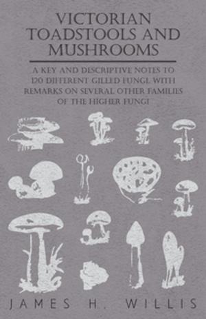 Cover of the book Victorian Toadstools and Mushrooms by A. C. Brill