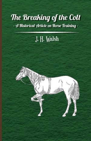 Cover of the book The Breaking of the Colt - A Historical Article on Horse Training by W. Morgan Shuster